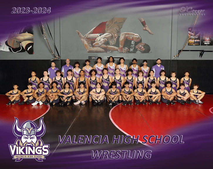 VHS Team 2023-2024.jpg